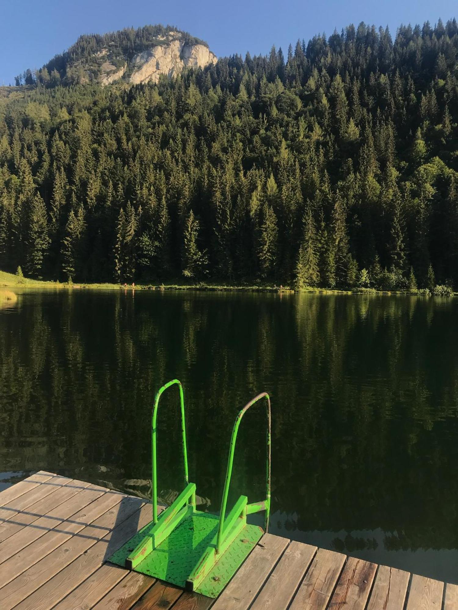 Haus Grimmingblick Villa Zlem Bagian luar foto