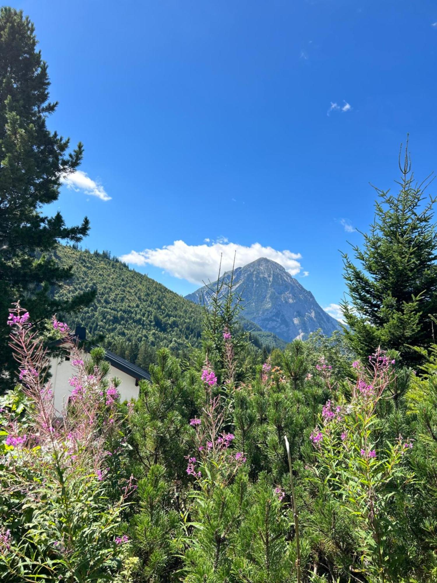 Haus Grimmingblick Villa Zlem Bagian luar foto