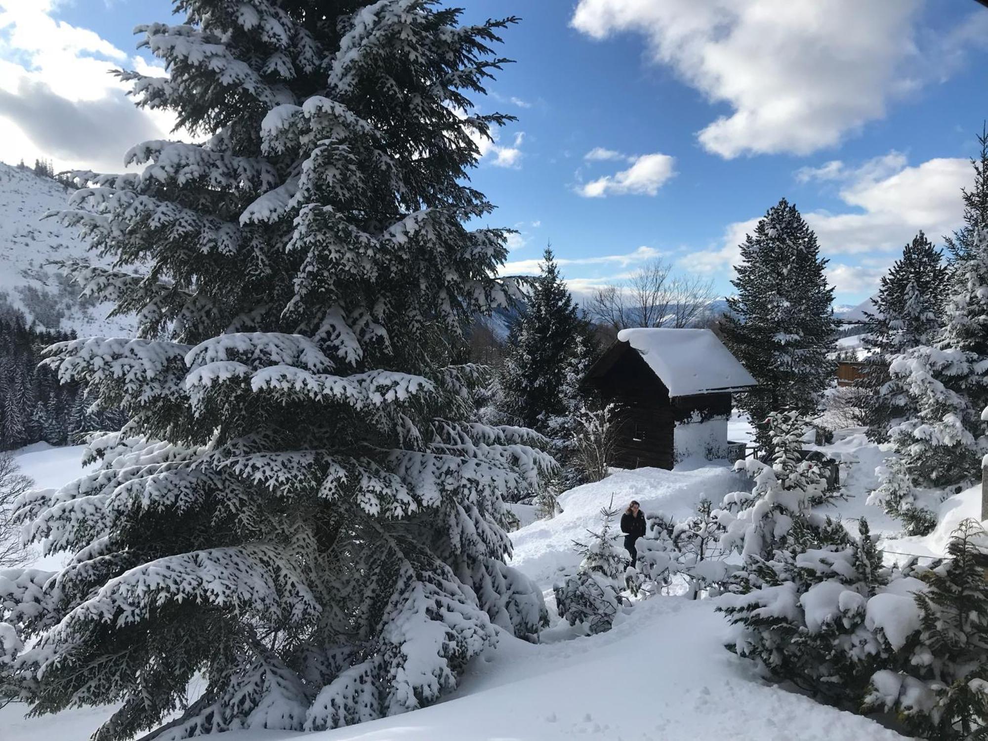 Haus Grimmingblick Villa Zlem Bagian luar foto