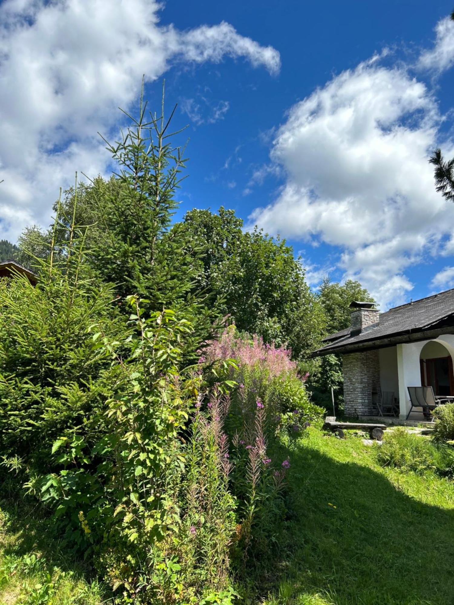 Haus Grimmingblick Villa Zlem Bagian luar foto